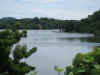 IMG_0547.jpg (36950 bytes)
